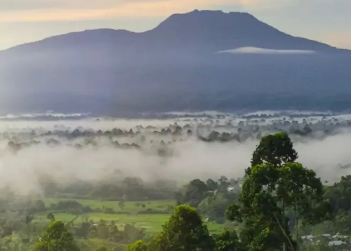 Menggali Sejarah Nama Gunung Pesagi: Antara Mitos dan Kenyataan