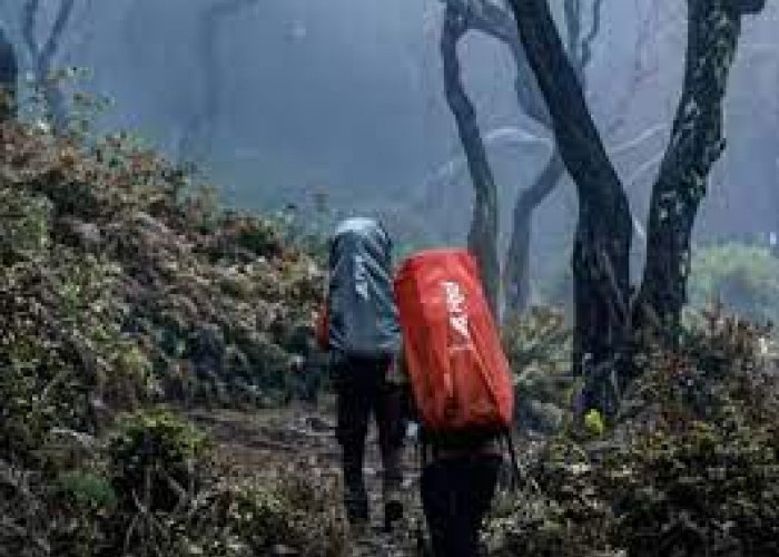 Mengungkap 4 Misteri Gunung Singgalang Sumatera Barat!