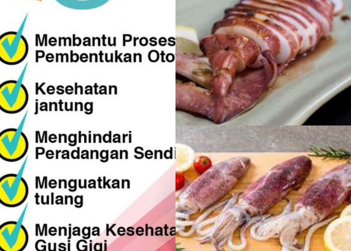 Siapa Sangka! Cumi-cumi Ternyata Bermanfaat untuk Kesehatan Jantung, Loh!