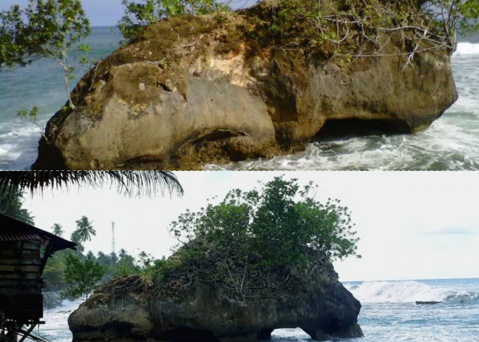 Kisah di Pulau Nias Selatan: Misteri Batu Atola yang Bergerak Secara Misterius