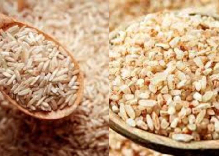 6 Manfaat Beras Cokelat untuk Kesehatan Tubuh Yang Harus Kalian Ketahui!