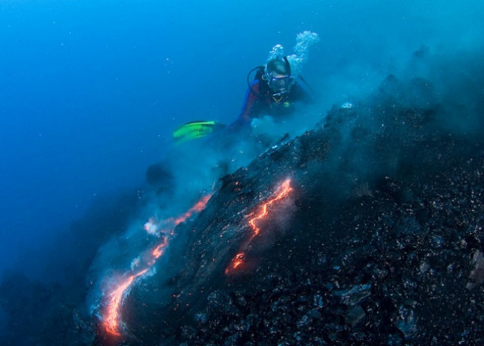 Rumah Bagi Ekosistem Langka! Peneliti Temukan Gunung Api Purba Dibawah Laut Ini