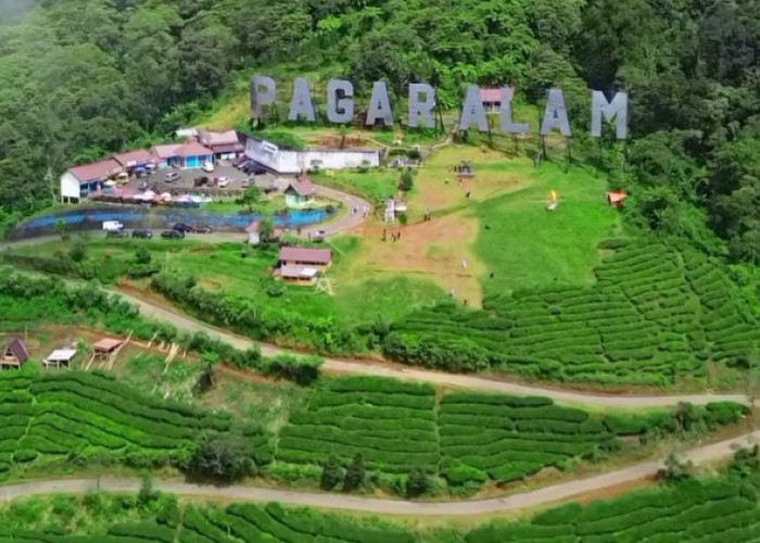 Liburan ke Pagar Alam, Pantau Edaran Keselamatan Berwisata Dispar