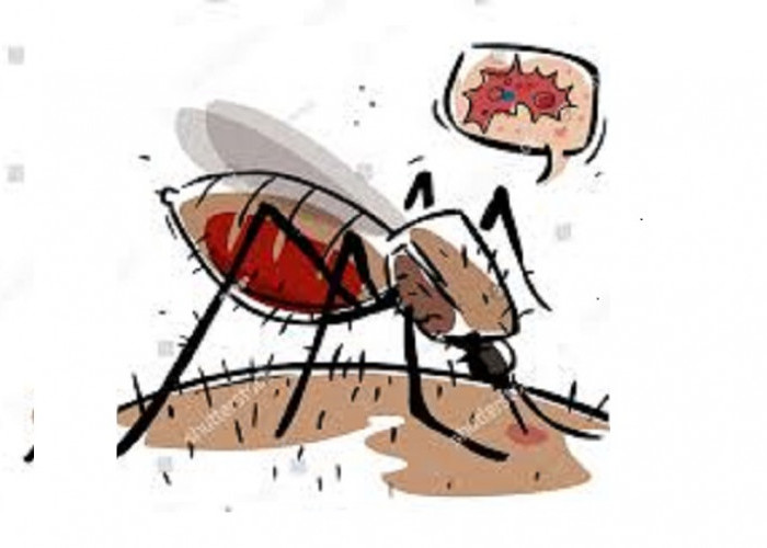 Sumsel Nol Penularan Lokal Malaria Sejak 2025