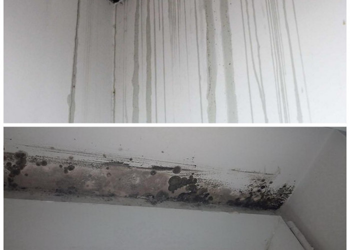 Solusi Praktis! 5 Cara Mengatasi Dinding Rembes Air Tanpa Bongkar Besar yang Paling Efektif