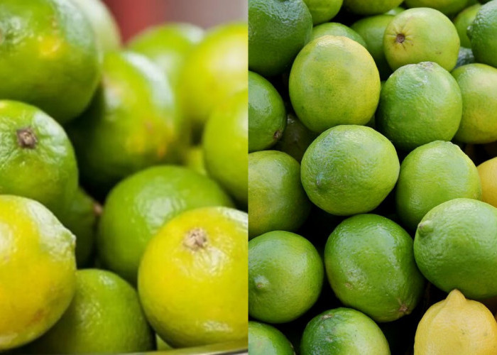 Lemon: Buah Asam dengan Segudang Manfaat untuk Kesehatan!