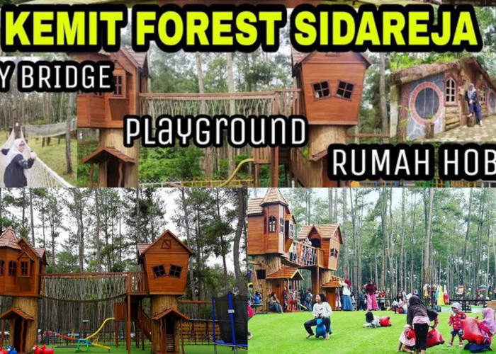 Eksplore Kemit Forest Cilacap. Wisata Alam Keluarga Seru