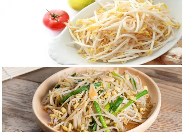 Manfaat Toge bagi Kesehatan: Sumber Nutrisi yang Sering Terabaikan