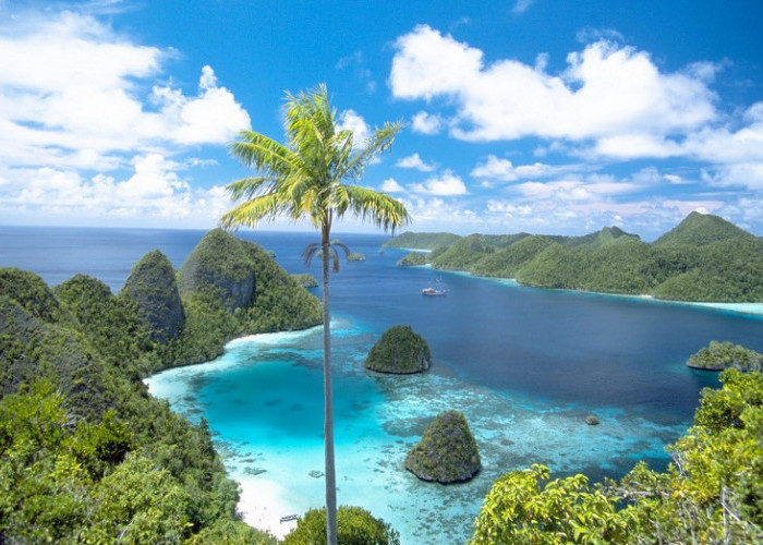 Sering Dikunjungi Wisatawan, Inilah Destinasi Menakjubkan Papua Barat!