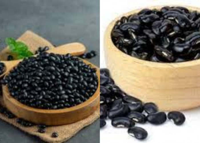 Yuk Ketahui Teryata Ini Guys 8 Manfaat Kedelai Hitam untuk Kesehatan Tubuh