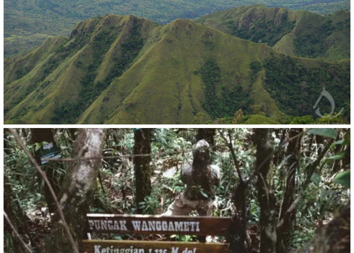 Menyibak Misteri Gunung Wanggameti: Pesona Tertinggi Pulau Sumba yang Penuh Cerita