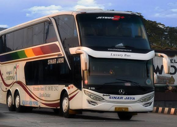 Serasa Kek Gimana, Ini 7 Bus Pariwisata Paling Mewah di Indonesia! Bak Hotel Bintang-bintang