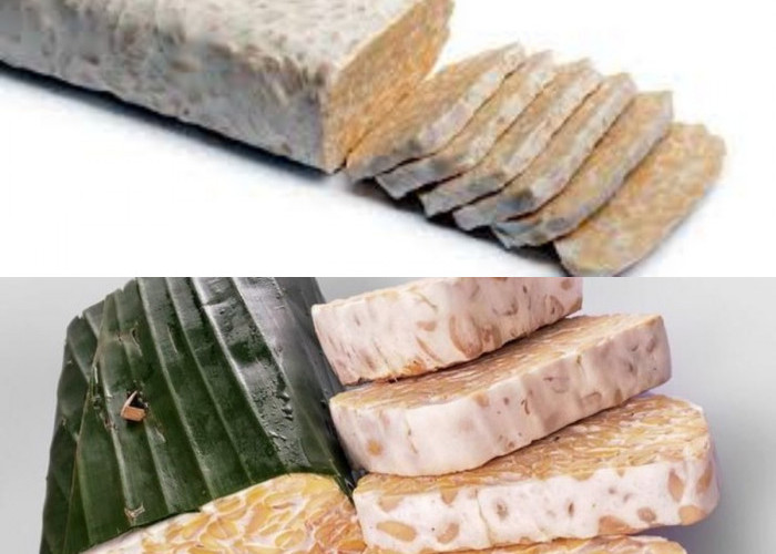 6 Keuntungan Tempe untuk Kesehatan yang Sering Tidak Diketahui!