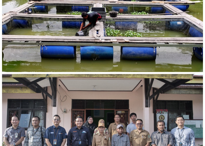 Pemberdayaan BRI Dorong Ekonomi Desa Empang Baru Makin Tumbuh dan Produktif