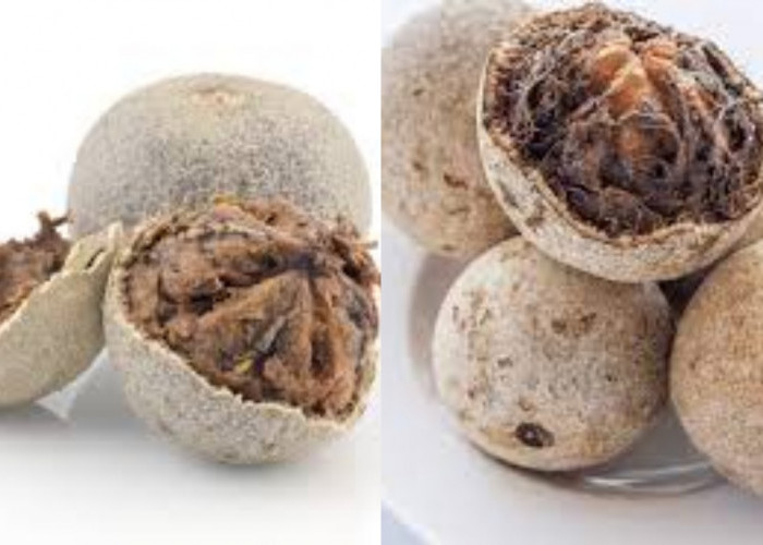 Wajib Tahu Inilah Manfaat Buah Kawista Untuk Kesehatan Yang Luar Biasa!