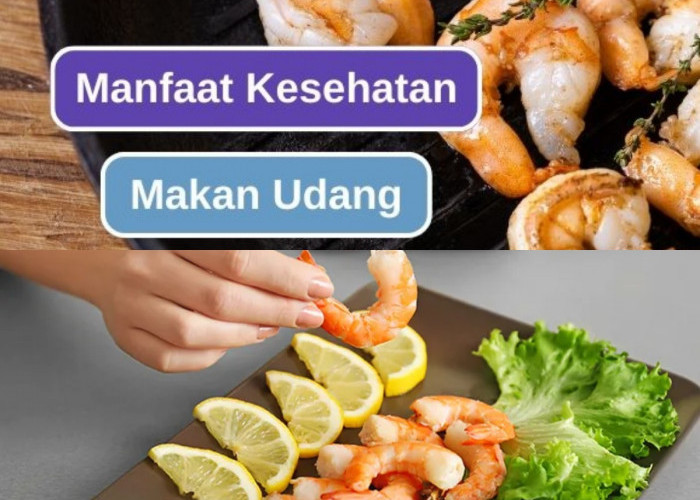 Mau Tubuh Sehat dan Bugar? Coba Konsumsi Udang!