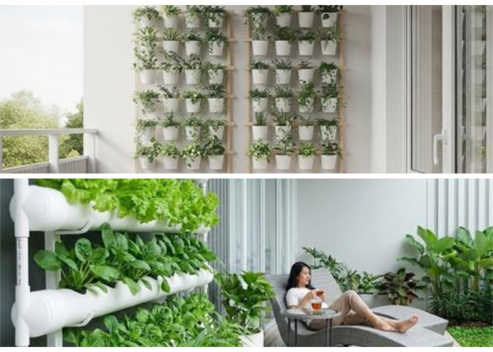 Rahasia Taman Vertikal Modern 2026 yang Bikin Teras Rumah Minimalis Jauh Lebih Sejuk dan Estetik!