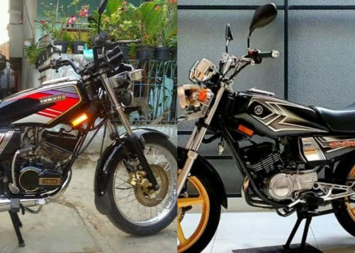 Pesona RX-King Cobra Bikin Kolektor Rela Menguras Kantong: Rahasia Blok Y-1 dan Part Langka Kuncinya!