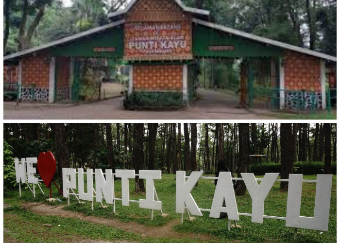 Wajib Banget Kamu Kunjungi, Inilah 5 Daya Tarik Taman Wisata Punti Kayu Palembang 