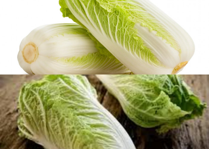 Inilah Manfaat Sawi Putih untuk Kesehatan!