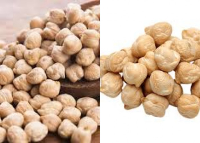  Inilah 7 Manfaat Kacang Arab Untuk Kesehatan Tubuh Yang Luar Biasa!