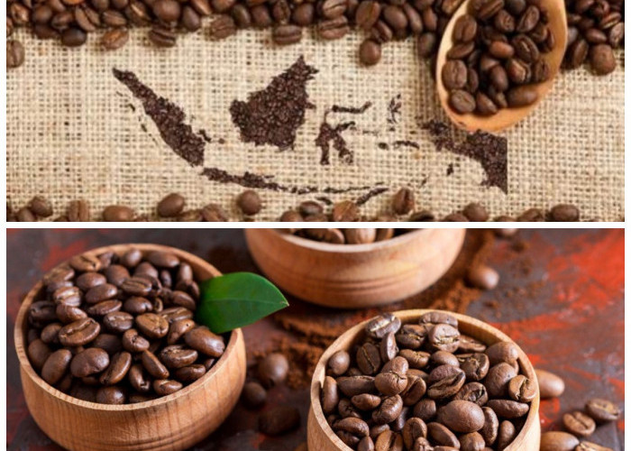 Kopi Nusantara: Cita Rasa Unik yang Bikin Dunia Jatuh Hati pada Indonesia