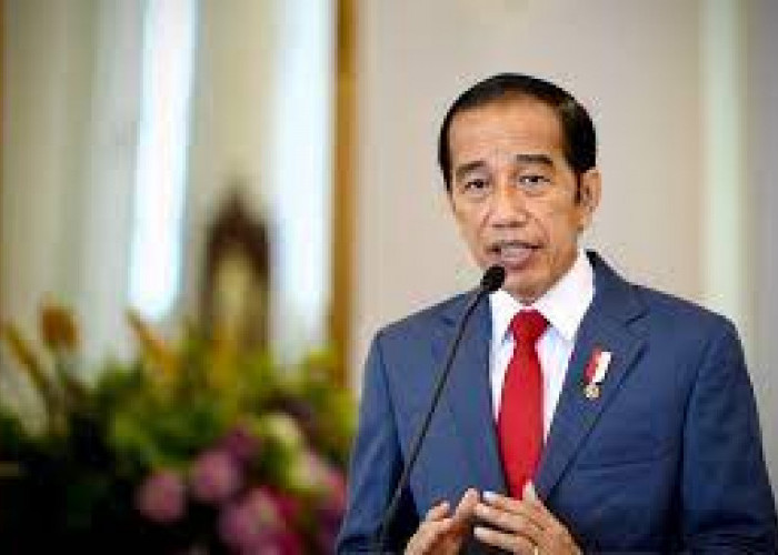 Ini Kebijakan Terbaru Presiden Jokowi, Terkait Pengangkatan Tenaga Honorer Menjadi PPPK!