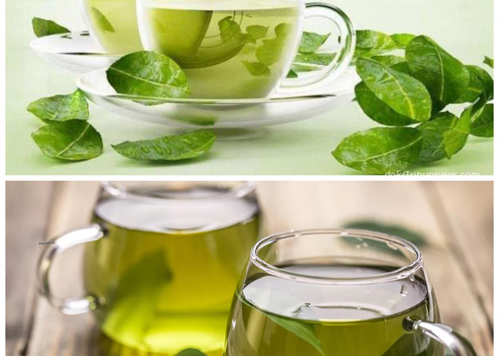 Manfaat Teh Hijau bagi Kesehatan Tubuh: Rahasia Alami untuk Menjaga Kebugaran dan Panjang Umur!