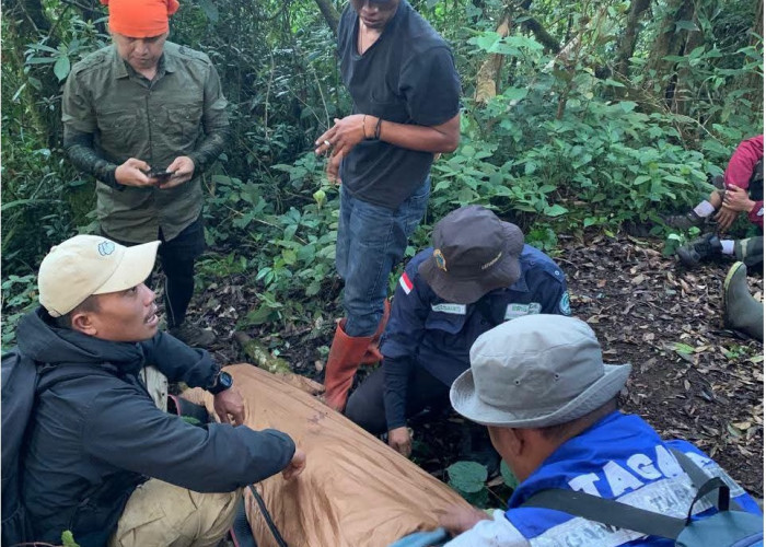 Begini Kronologi Pendaki Asal Palembang Hilang di Gunung Dempo