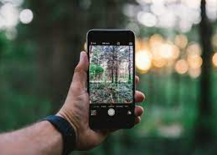 Gak Usah Insecure, Kamu Bisa Coba 7 Tips Ini Agar Hasil Foto dari Handphone Gak Kalah Dengan Kamera DSLR