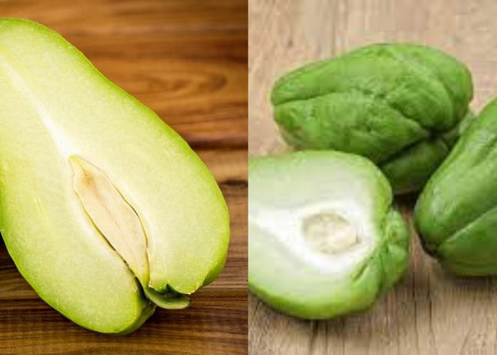 Mengungkap Manfaat Labu bagi Kesehatan yang Sering Terlewatkan!