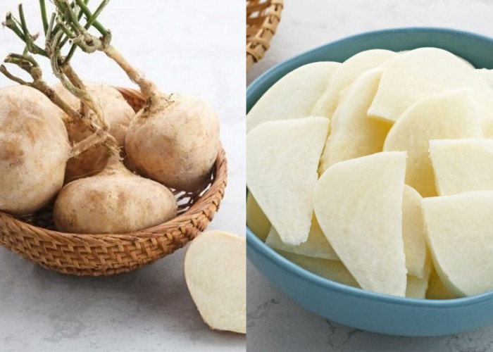 Wajib Kalian Ketahui! Manfaat Bengkoang untuk Ibu Hamil