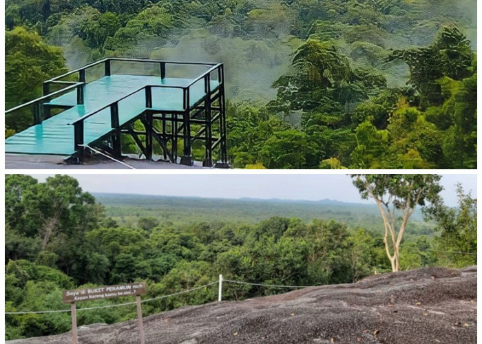 Bukit Peramun dan Kisah Masa Lalunya, Dari Hutan Ramuan Leluhur Menjadi Wisata Edukasi Digital!
