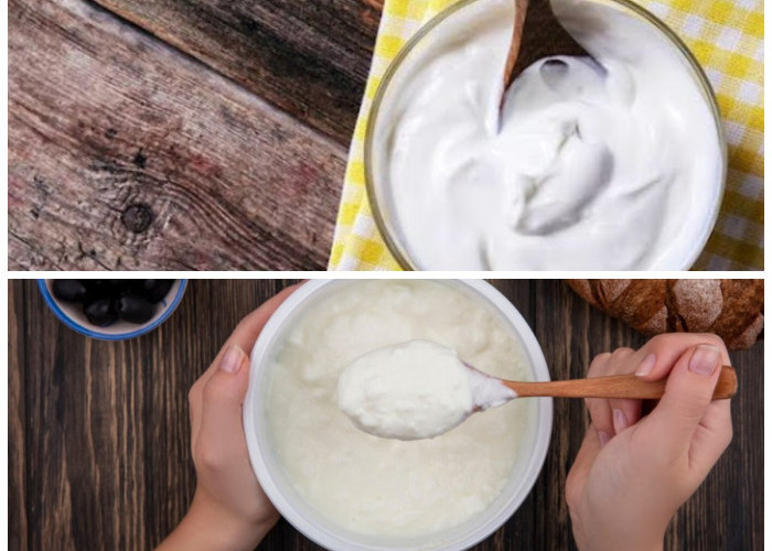 Segudang Manfaat Yoghurt Plain: Dukungan Optimal bagi Sistem Pencernaan, Tulang Kuat, dan Imunitas