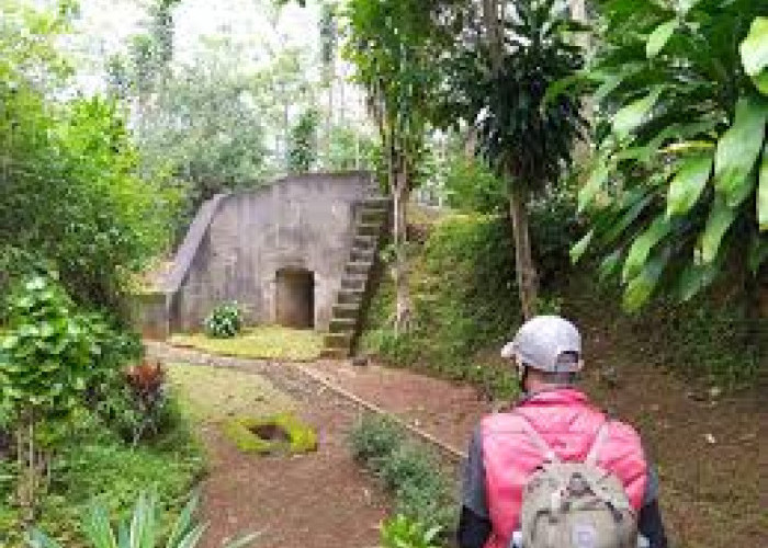 Temuan Istana Kuno Ini Viral, Ditemukan Pencari Rumput Didalam Hutan Jati