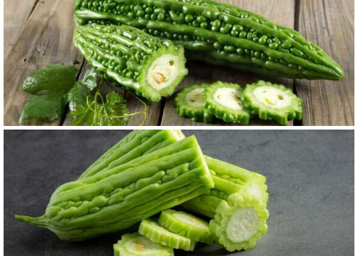 Pare: Sayuran Pahit yang Kaya Manfaat untuk Tubuh dan Kesehatan Anda