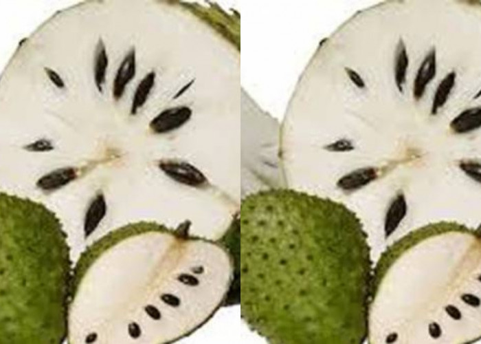 Mengandung Sifat Antikanker Inilah Manfaat Buah Sirsak Yang Jarang Diketahui! 