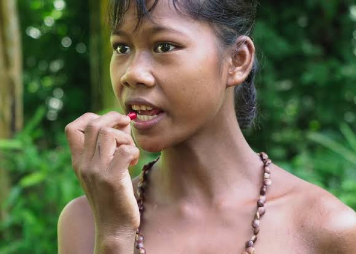 Bikin Kagum, Ternyata Ini Sejarah Suku Kubu di Indonesia