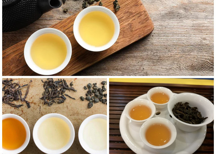 Manfaat Oolong Tea yang Baik bagi Kesehatan: Rahasia Teh Tradisional untuk Tubuh Sehat dan Bugar!