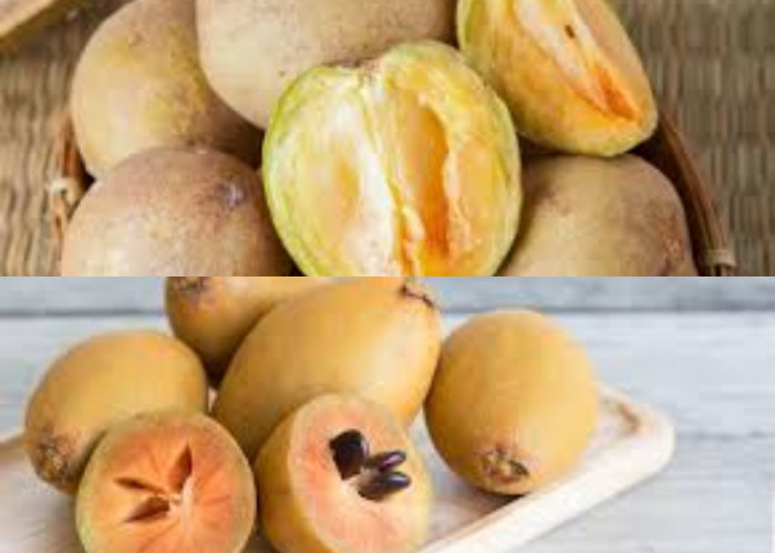 5 Manfaat Buah Sawo untuk Kesehatan yang Sayang Dilewatkan!