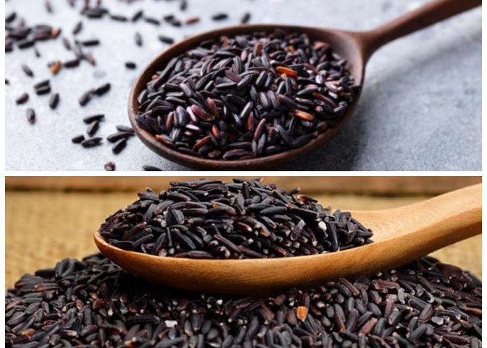 8 Khasiat Ketan Hitam yang Baik untuk Menunjang Kesehatan Tubuh