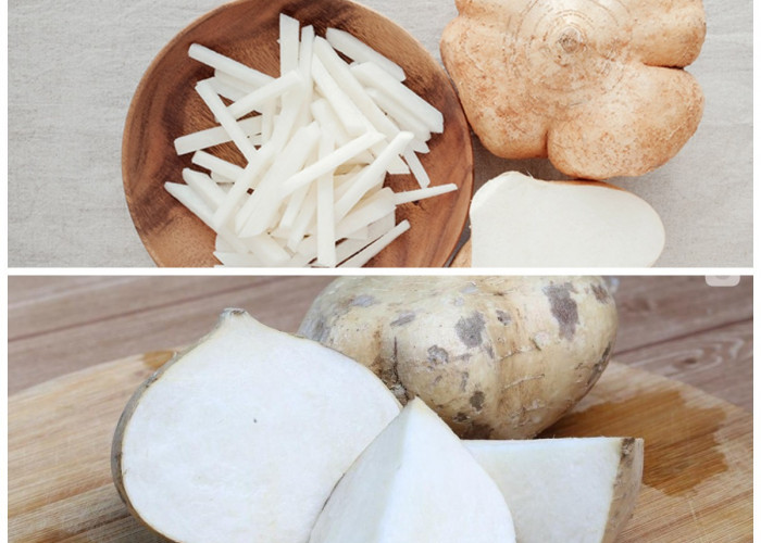 Manfaat Bengkoang yang Penting bagi Kesehatan: Rahasia Umbi Segar untuk Pencernaan dan Daya Tahan Tubuh!