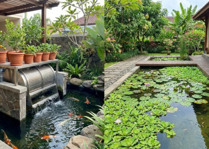 Model Kolam Ikan Minimalis di Teras yang Tidak Bau dan Mudah Dirawat!