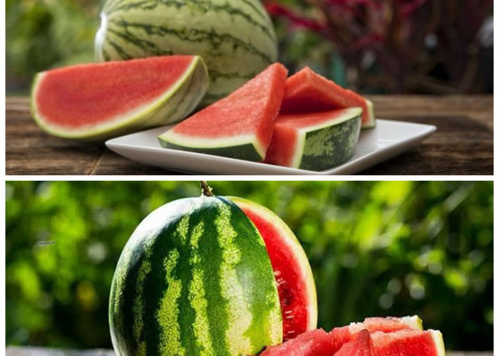 Manfaat Buah Semangka bagi Kesehatan Tubuh: Rahasia Segar yang Kaya Nutrisi dan Menyehatkan dari Alam!