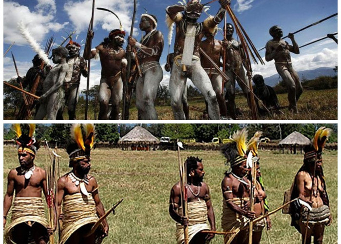 Menguak Kehidupan Suku Yali: Pertanian Tradisional di Pegunungan Papua