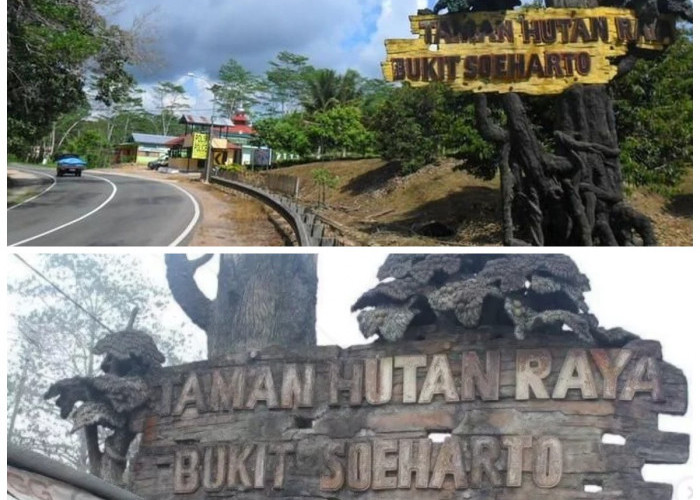 Sejarah Bukit Soeharto: Jejak Warisan dan Harapan Masa Depan di Jantung Kalimantan Timur!