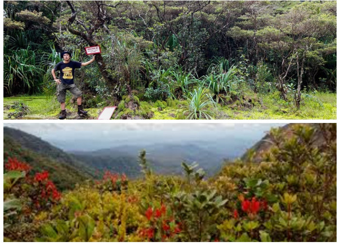 Menelusuri Legenda Gunung Kunyit: Tempat Bersemedi Depati Parbo dan Fakta Sejarahnya