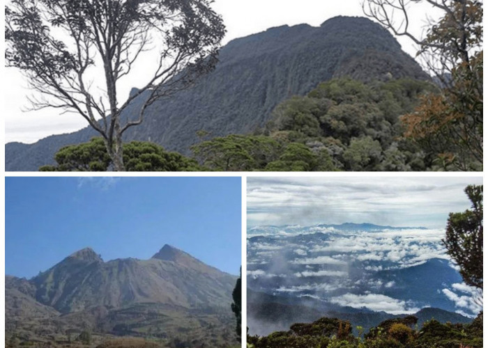 Menelusuri Gunung Bukit Raya: Keindahan Alam dan Makna Budaya yang Mendalam!
