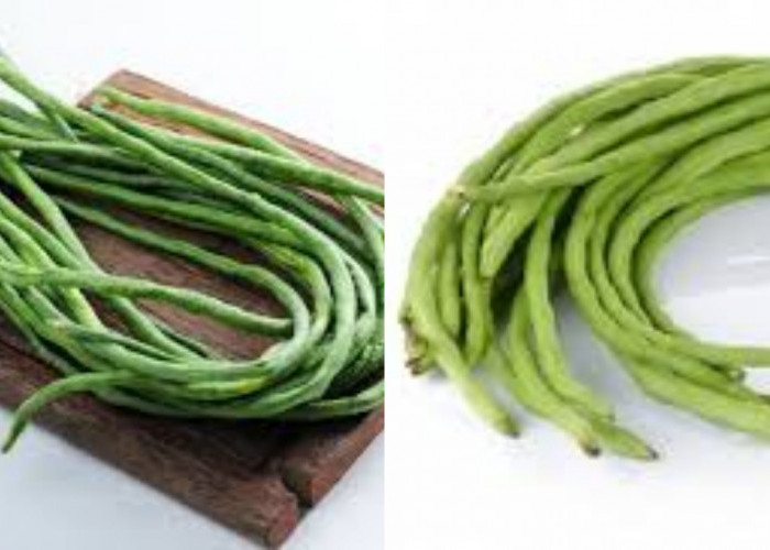 Inilah 9 Manfaat Kacang Panjang Untuk Kesehatan Yang Jarang Diketahui