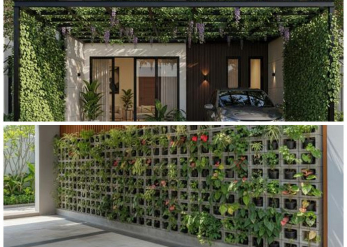 Teras dan Carport Asri: Ide Menanam Tanaman Rambat untuk Nuansa Tropis di Depan Rumah
